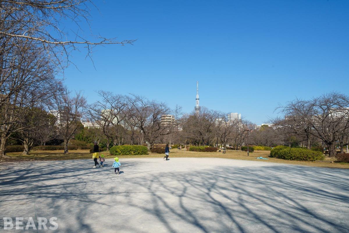 メイツ深川住吉の物件画像27